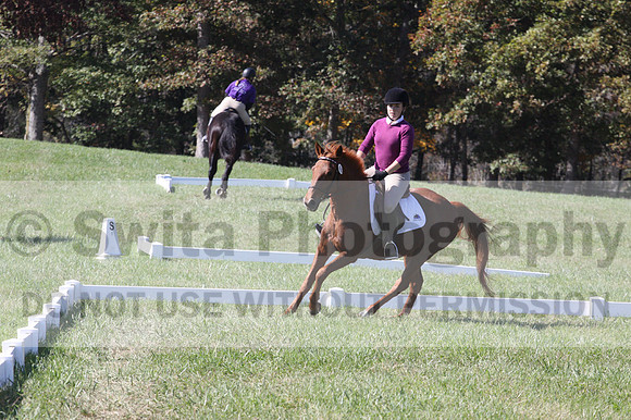 Theresa Thompson on Rated PG, Beginner Novice Horse Trials Senior B