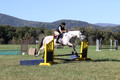 Carolyn Rutledge on Izzy, Advanced Green Horse Trials A