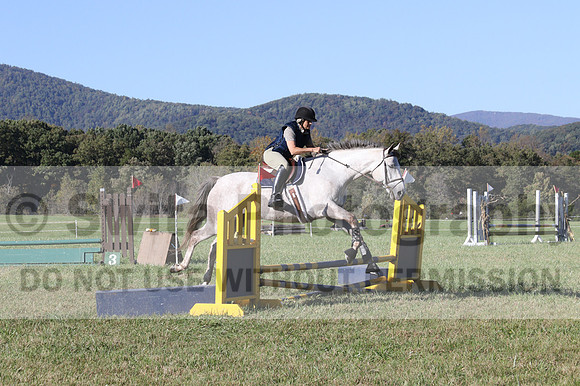 Carolyn Rutledge on Izzy, Advanced Green Horse Trials A