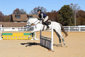 Jennifer Cobb on Snowbird, Beginner Novice Horse Trials Senior A