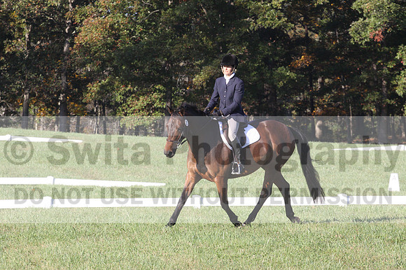 Kip Holloway on Dora Cymbeline, Novice Horse Trials Senior A