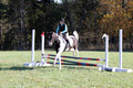 Kaitlyn Schmidt on Dandy, Advanced Green Horse Trials A