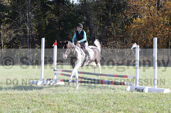 Kaitlyn Schmidt on Dandy, Advanced Green Horse Trials A