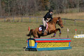 Theresa Thompson on Rated PG, Novice Horse Trials Senior