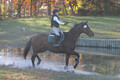 Ella Grier on Jean Louis Finch, Advanced Green Horse Trials Junior B