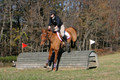 Theresa Thompson on Rated PG, Novice Horse Trials Senior