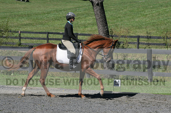 Jenny Rosner on Curious, Advanced Green HT Senior