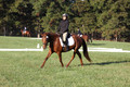 Jenny Rosner on Abbey Moon, Training Horse Trials