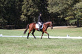 Katie LaValle on High Speed Internet, Beginner Novice Horse Trials Senior A