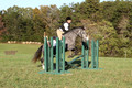 Elizabeth Brown on BallyGrace Encore, Green Horse Trials
