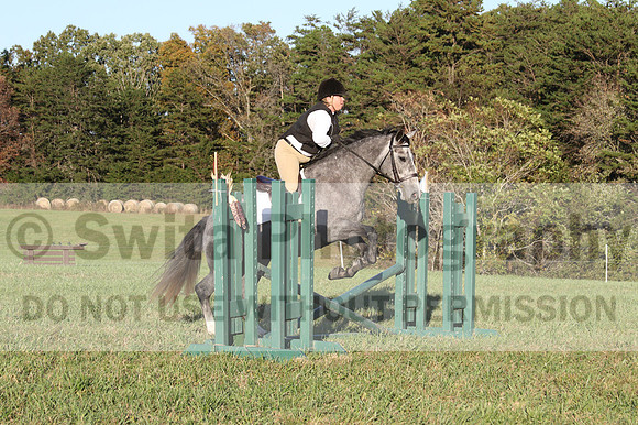 Elizabeth Brown on BallyGrace Encore, Green Horse Trials