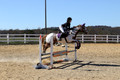 Holly Holbrook on Two Bet Chloe, Beginner Novice Horse Trials Junior A