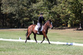 Elaine Groves on Luidonna, Beginner Novice Horse Trials Senior B