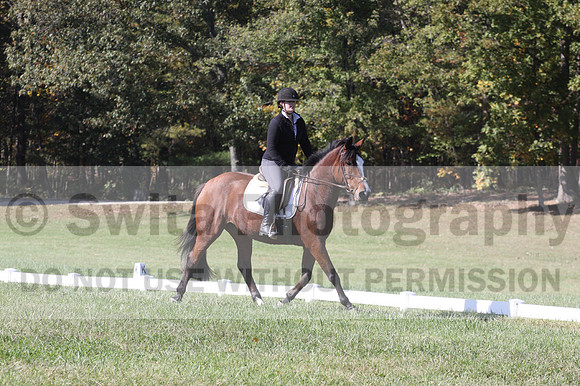 Elaine Groves on Luidonna, Beginner Novice Horse Trials Senior B