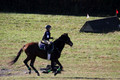 Abby McGowan on Civil Bond, Beginner Novice Horse Trials Junior B