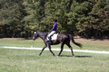 Judy Lancaster on Ride Sallie Ride, Beginner Novice Horse Trials Senior B