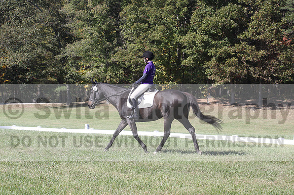 Judy Lancaster on Ride Sallie Ride, Beginner Novice Horse Trials Senior B