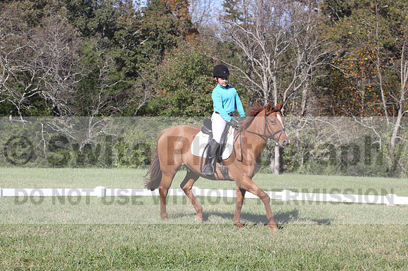 Clay Cooke on Clifford Dun It Again, Advanced Green Horse Trials B