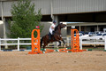 V6L06889