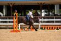 V6L06966