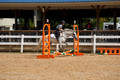 V6L06934