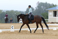 V26K1193