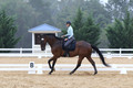 V26K1211