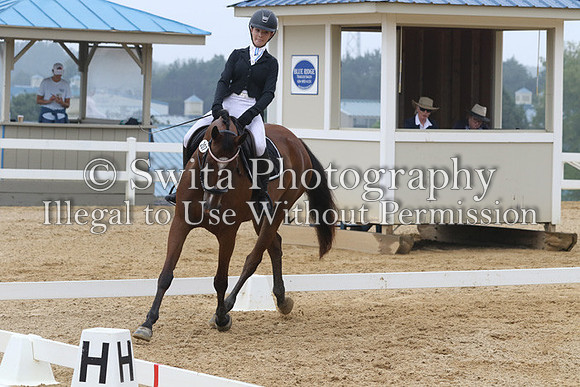 V26K1482_1