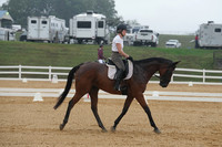 Raab.Janice.Midlife Crisis.216