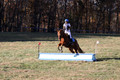 Kylie Oseguera on Boss Man, Advanced Green Horse Trials Junior B