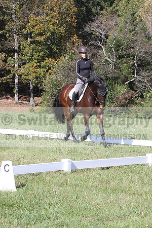 Brooke Bayley on Unbroken, Beginner Novice Horse Trials Senior A