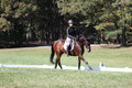 Brooke Bayley on Unbroken, Beginner Novice Horse Trials Senior A