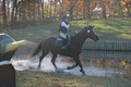 Ella Grier on Jean Louis Finch, Advanced Green Horse Trials Junior B