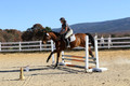 Tori Nuckols on Baron, Advanced Green Combined Test