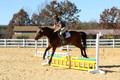 Tori Nuckols on Baron, Advanced Green Combined Test