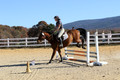 Tori Nuckols on Baron, Advanced Green Combined Test