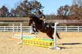 Tori Nuckols on Baron, Advanced Green Combined Test