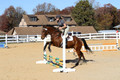 Tori Nuckols on Baron, Advanced Green Combined Test