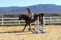 Tori Nuckols on Baron, Advanced Green Combined Test