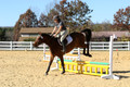 Tori Nuckols on Baron, Advanced Green Combined Test