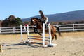 Tori Nuckols on Baron, Advanced Green Combined Test