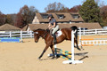 Tori Nuckols on Baron, Advanced Green Combined Test