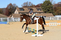 Tori Nuckols on Baron, Advanced Green Combined Test