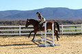 Tori Nuckols on Baron, Advanced Green Combined Test