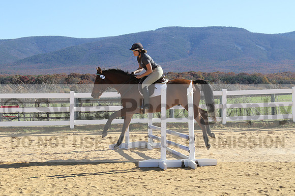 Tori Nuckols on Baron, Advanced Green Combined Test