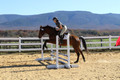 Tori Nuckols on Baron, Advanced Green Combined Test