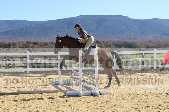 Tori Nuckols on Baron, Advanced Green Combined Test