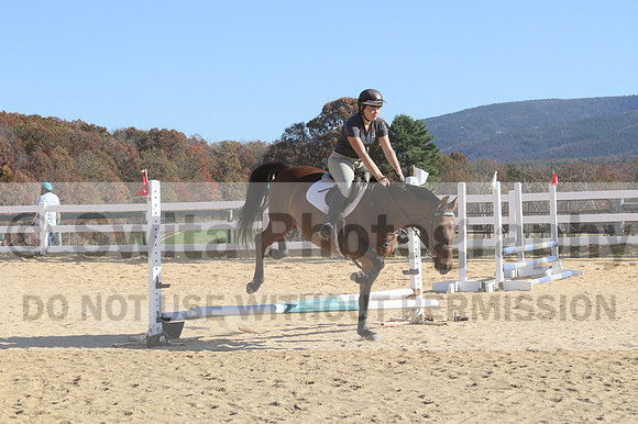 Tori Nuckols on Baron, Advanced Green Combined Test