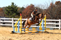Tori Nuckols on Baron, Advanced Green Combined Test