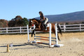 Tori Nuckols on Baron, Advanced Green Combined Test